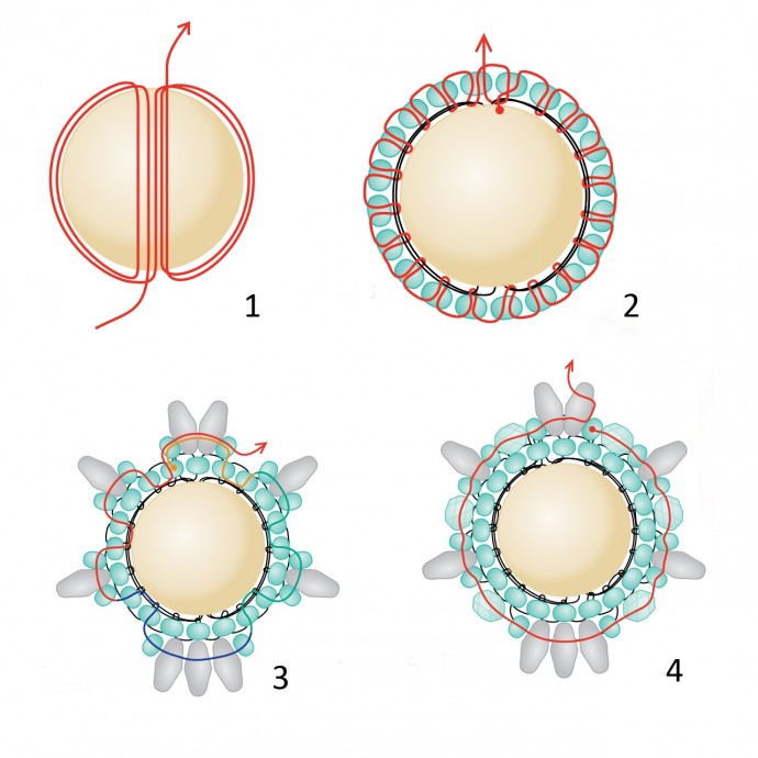 ​Серьги "Ледяная капля"