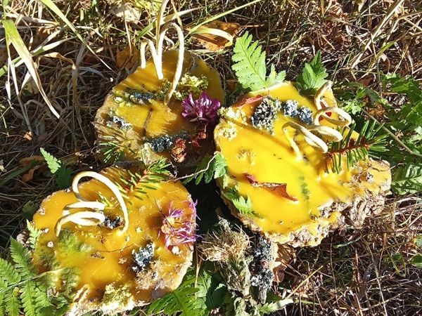 Изготовление земляных травных свечей в лесу Изготовление земляных травных свечей в лесу