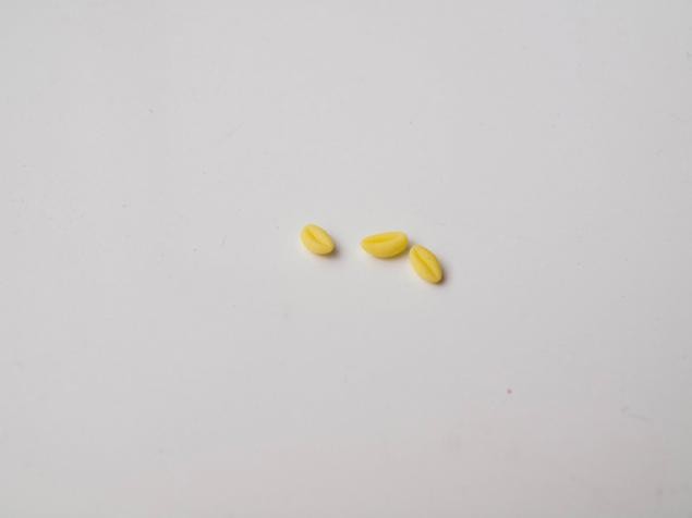 Цветы из холодного фарфора: тюльпаны, часть 2