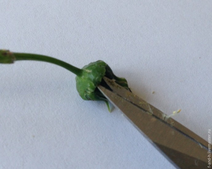 ​Как сделать тычинки для цветов за 5 минут