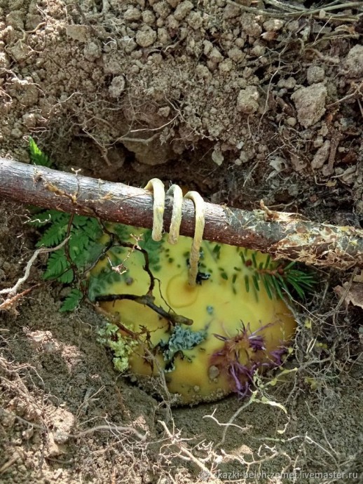 Изготовление земляных травных свечей в лесу Изготовление земляных травных свечей в лесу