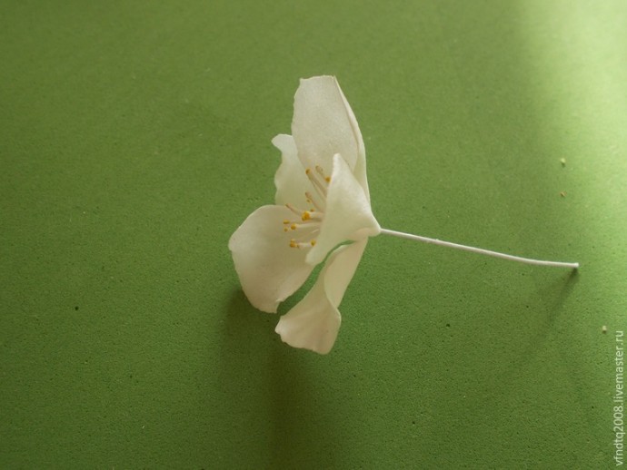 Создаем цветы яблони из фоамирана