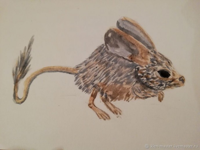 Рисуем тушканчика акварелью