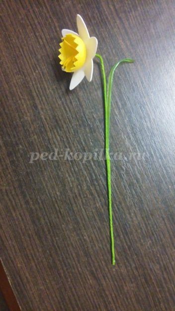 Как сделать нарциссы из пластиковых бутылок