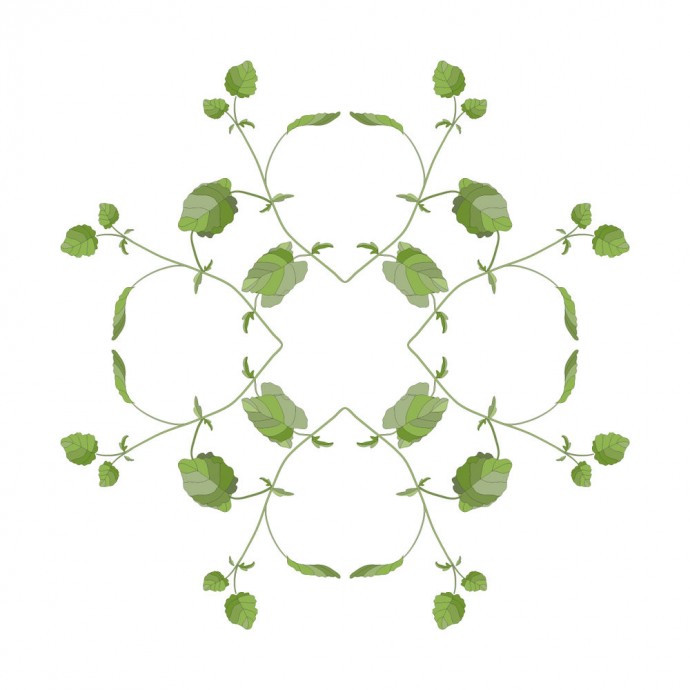 ​Узоры из фиалок