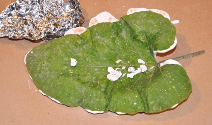 ​Мастер-класс по изготовлению оригинального блюда "Листья": часть 2