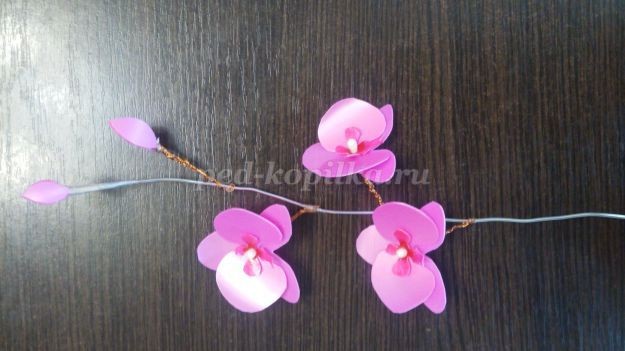 Орхидея из пластиковых бутылок: мастер-класс