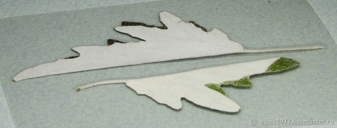 Как просто заламинировать гербарий: часть 2 Как просто заламинировать гербарий: часть 2