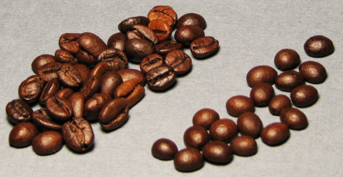 Делаем божью коровку из кофейного зёрнышка