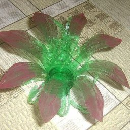 Вечные цветы для сада