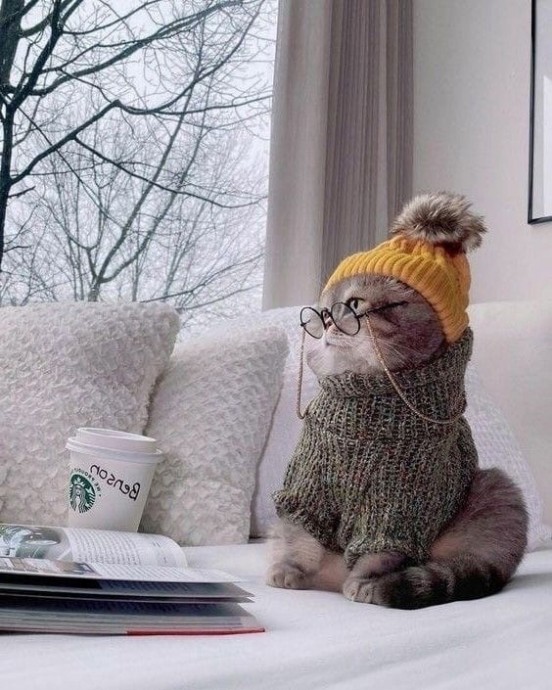 Круговая шапочка Круговая шапочка