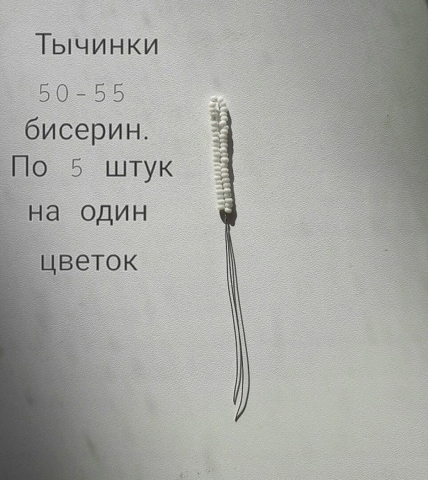 ​Пахистахис из бисера и рубки