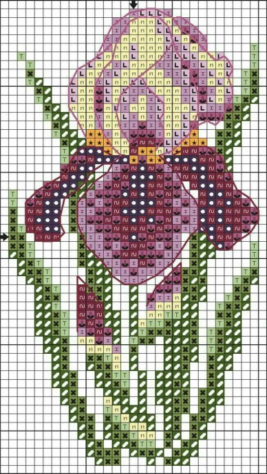 Прелесть ирисов