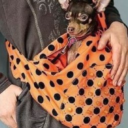 Сумка-переноска для животных