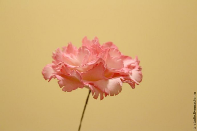 ​Изготовление гвоздики из пластичной замши: часть 3