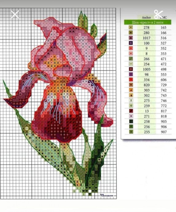 Прелесть ирисов