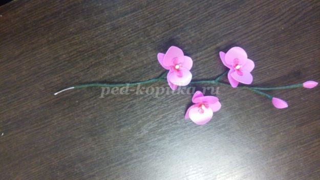 Орхидея из пластиковых бутылок: мастер-класс