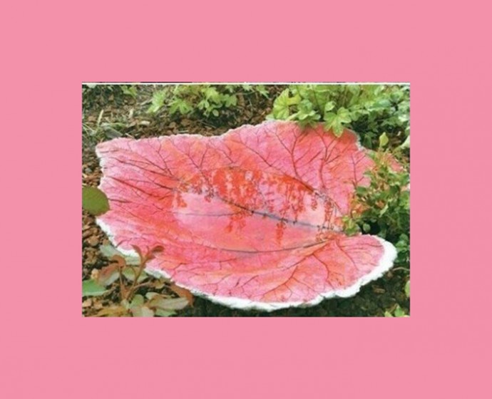 Раковина для декоративного садового водоема