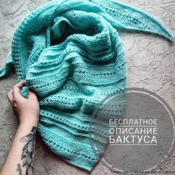 Красивый бактус