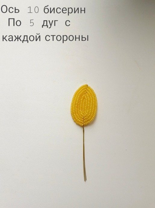 ​Пахистахис из бисера