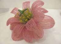 ​Кактус "Розовая мечта"