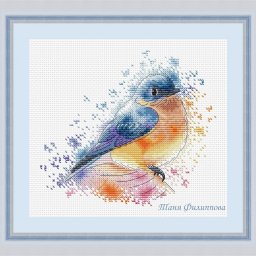 ​Птичка в ярких красках