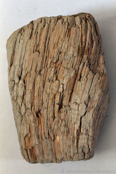 ​Создаем абстрактную композицию с морскими мотивами