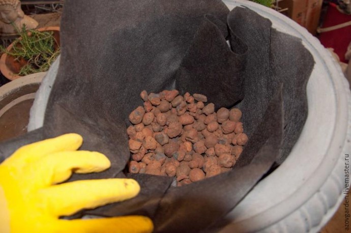 ​Создаем мини-сад из суккулентов в бетонном уличном вазоне