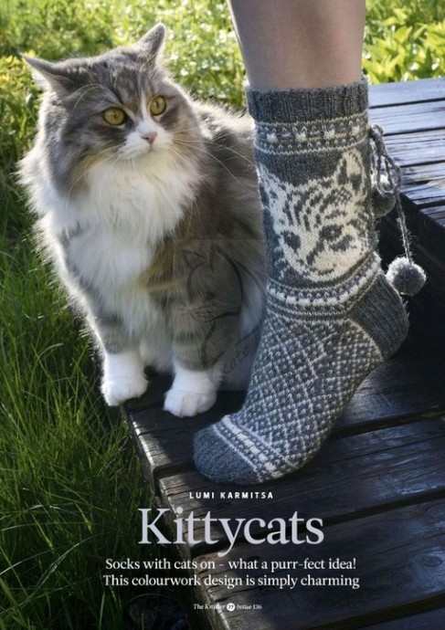 Жаккардовые носки с котиками