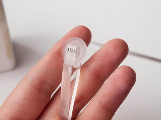 ​Цветы из холодного фарфора: тюльпаны, часть 1