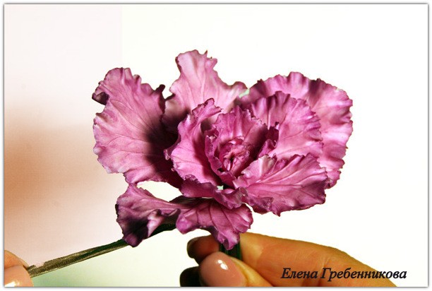 Брассика из холодного фарфора: мастер-класс, часть 3