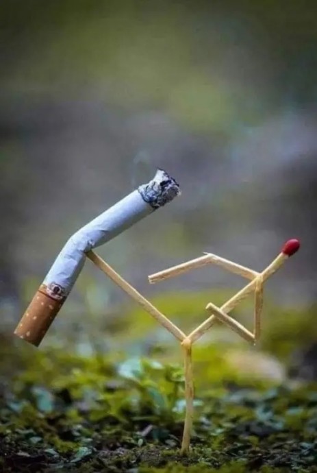 Объемные арт-инсталляции из спичек Объемные арт-инсталляции из спичек