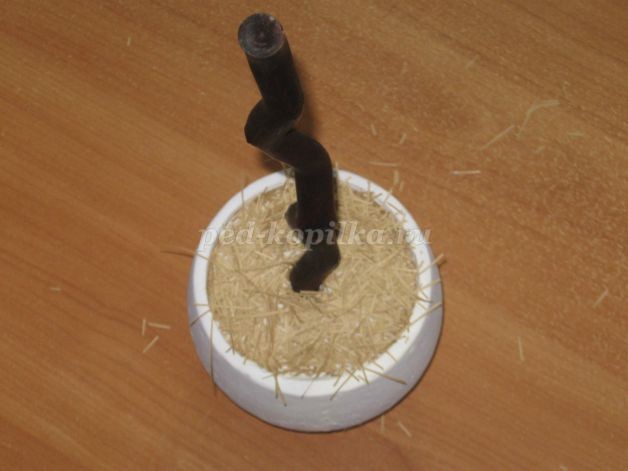 Топиарий из гофрированной бумаги: часть 1