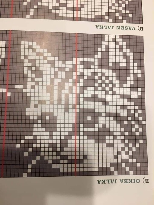 Жаккардовые носки с котиками