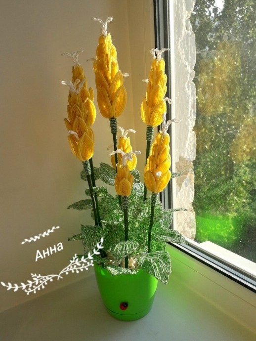 ​Пахистахис из бисера