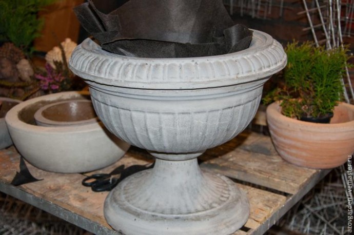 ​Создаем мини-сад из суккулентов в бетонном уличном вазоне