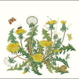 Вышивание одуванчиков