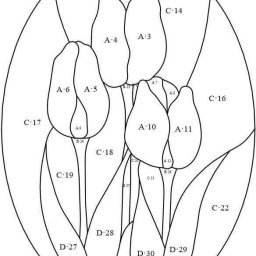 Схемы работ в технике пэчворк