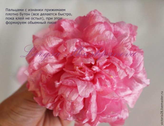 Создание пышного роскошного пиона: часть 4