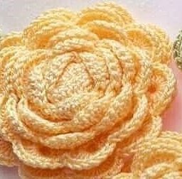 Чайная роза крючком