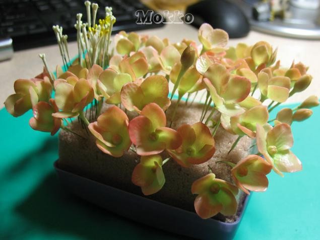 Лепим цветок гортензии из полимерной глины: часть 2 Лепим цветок гортензии из полимерной глины: часть 2