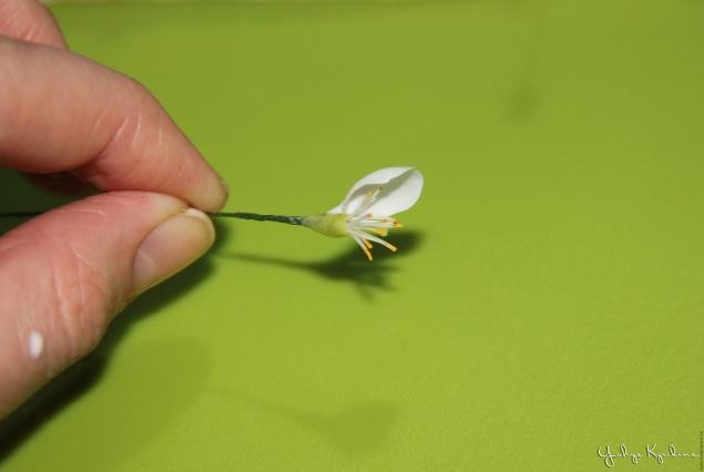 Веточка цветущей вишни из холодного фарфора: часть 2