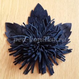 ​Астра из кожи: часть 1