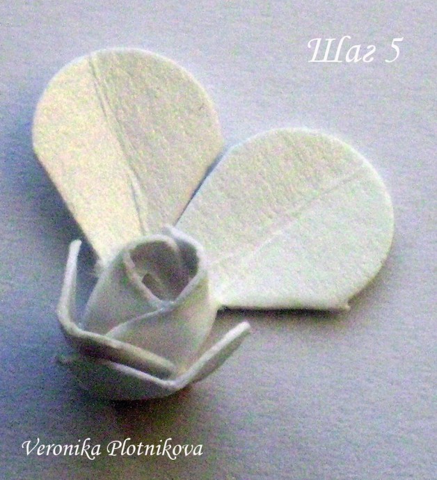 Розочки мягкого картона: мастер-класс Розочки мягкого картона: мастер-класс