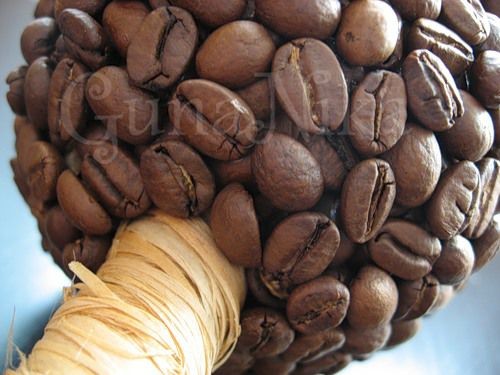 Создаем кофейное дерево: часть 2