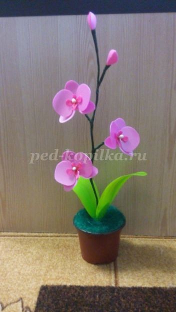 Орхидея из пластиковых бутылок: мастер-класс