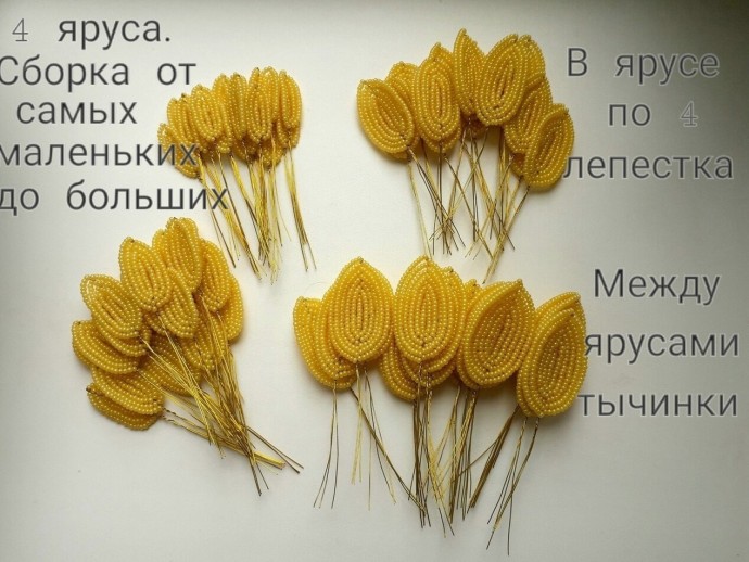 ​Пахистахис из бисера и рубки