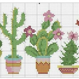 ​Вышиваем кактусы
