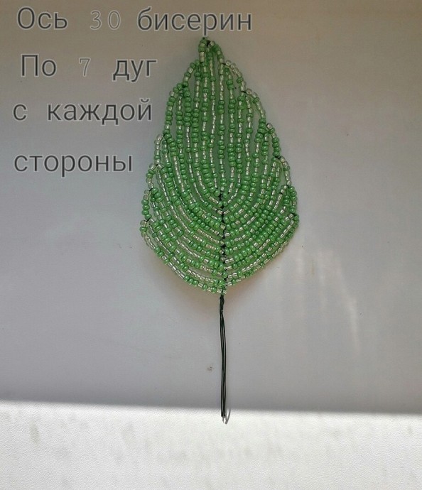 ​Пахистахис из бисера и рубки