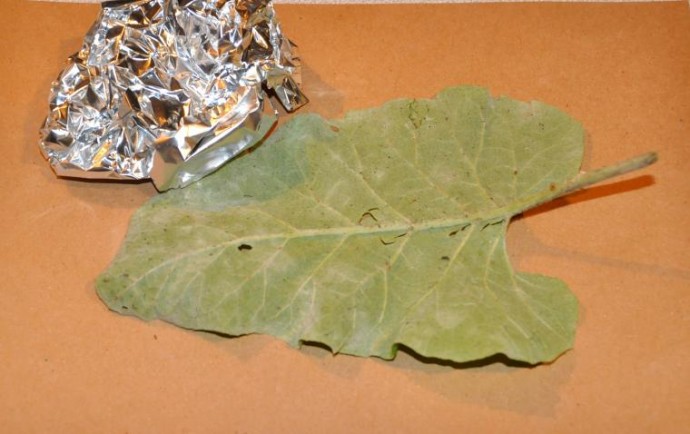 ​Мастер-класс по изготовлению оригинального блюда "Листья": часть 1